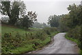 The Lough End Road, Loughbrickland