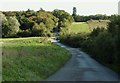 Hill Wood, close to Tiptree, Essex