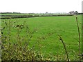 Gortavilly Townland