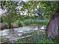 Sound: pond beside footpath near Whitegate Farm