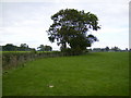 The little used footpath 500m south of Sheriff Hutton Hall