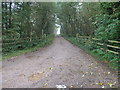 Path to Shaw Wood