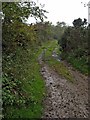 Farm road to Craigfin