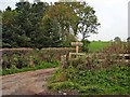 Farm walk at Orchard Farm, Kirkmichael