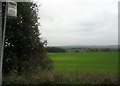 Winter wheat above Bentleyhall Farm