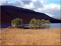 NN3766 : Beside Loch Ossian by John Lucas
