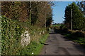 The Spring Lane near Greyabbey (1)