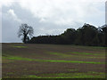 Stubble, Woodlands Farm