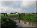 Protecting Sheep With A Moat