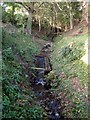 Tributary of the river Almond