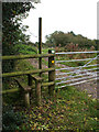 Stile into the National Forest