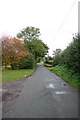 A lane out of Hopton Village