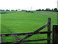 Pasture near New Barn Farm