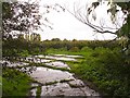 Orchard near New Barn farm