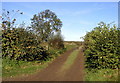 Footpath to Dick Hill