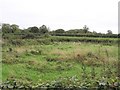 Ballymultrea Townland