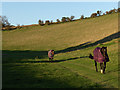 Horses, Burney Farm