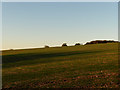 Farmland near Axford