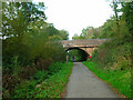 TQ5816 : Horebeech Lane Bridge by Simon Carey