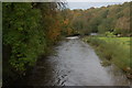 The River Bann at Ballievey near Banbridge (2)