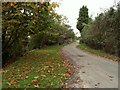 Dead-end lane at Park Green