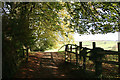 Exford: a public footpath by the churchyard