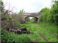 Derelict Railway Line