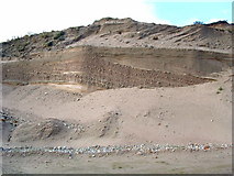 NJ2935 : Sand Pit by alan souter
