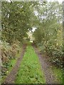 Footpath from Plumley Farm