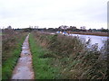 SY9286 : Footpath along the River Frome, Wareham by N Chadwick