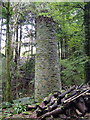 Chimney, Boringdon Tin Streamworks