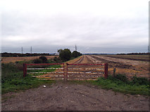 SE9719 : Field Gate by David Wright