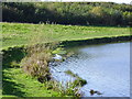 Queen Elizabeth II Country Park