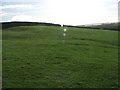 Farmland above Newsholme Dean.