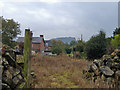 View from Tiverton footpath 3