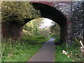 NX9914 : National Cycle Network route 72 by Dave Dunford