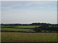 Farmland south of Caesar