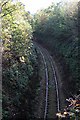 Looe Valley Railway Line