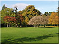 SJ4087 : Autumn Colours - Calderstone Park by Bernie Sullivan