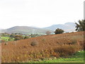 Disused agricultural land adjoining Ysgol Brynrefail