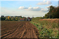 Farmland at Carlton Scroop