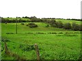 Field at Tamlaght Road, Omagh