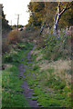 Footpath above Eaves Wood