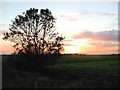 TA2222 : Sunset over Keyingham Marsh by Paul Glazzard