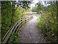 Footpath Near Calder Water