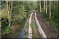 Woodland, River and Rail