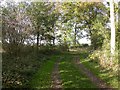 Footpath through Woodland