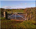 Farmland near Newbiggin