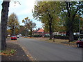 Gregory Ave in autumn