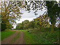 Green Lane across the A166